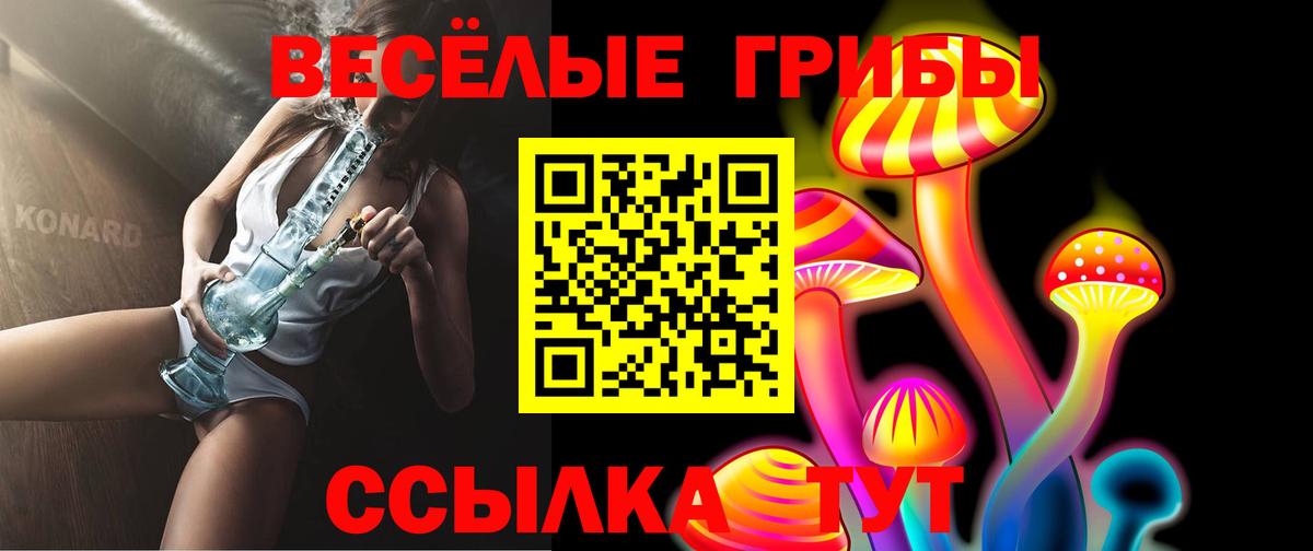 цена   Галлюциногенные грибы GOLDEN TEACHER  Вход с VPN  Карасук 
